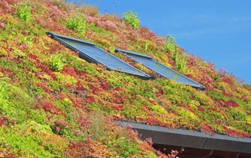 Deptford living roof systems