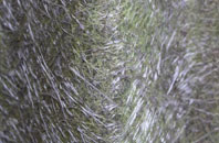 Deptford fibreglass roof work